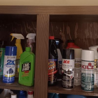 SPRAY PAINT AND HOUSEHOLD CLEANERS