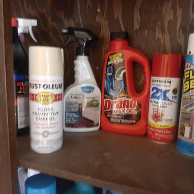 SPRAY PAINT AND HOUSEHOLD CLEANERS