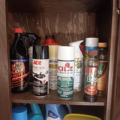 SPRAY PAINT AND HOUSEHOLD CLEANERS