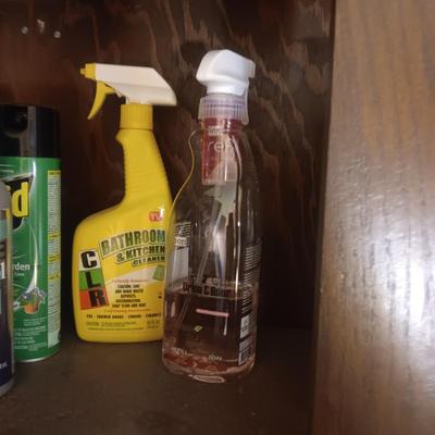 SPRAY PAINT AND HOUSEHOLD CLEANERS
