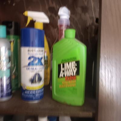 SPRAY PAINT AND HOUSEHOLD CLEANERS