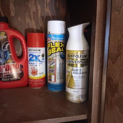 SPRAY PAINT AND HOUSEHOLD CLEANERS
