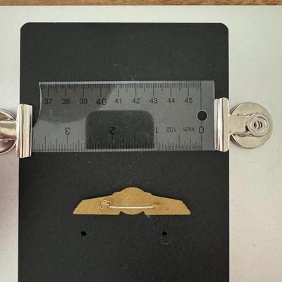 Piedmont wings pin