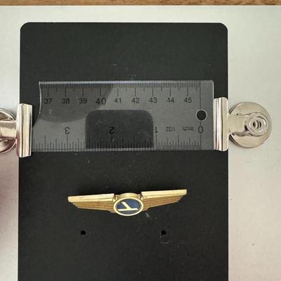 Piedmont wings pin
