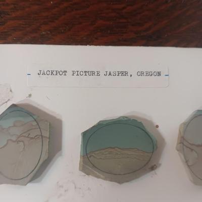 PICTURE JASPER VARIETY LAPIDARY PIECES