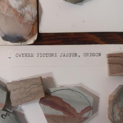 PICTURE JASPER VARIETY LAPIDARY PIECES