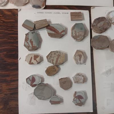 PICTURE JASPER VARIETY LAPIDARY PIECES