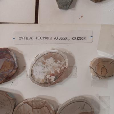 PICTURE JASPER VARIETY LAPIDARY PIECES