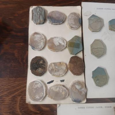 PICTURE JASPER VARIETY LAPIDARY PIECES
