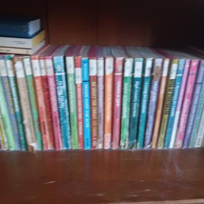 SMALL BOOKCASE FILLED WITH NOVELS