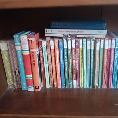 SMALL BOOKCASE FILLED WITH NOVELS