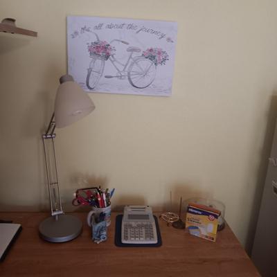 DESK LAMP, CALCULATOR, PIC W/WORDS, SOFTWARE