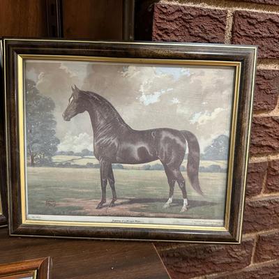 PICTURES OF HORSES AND A HORSE STATUE