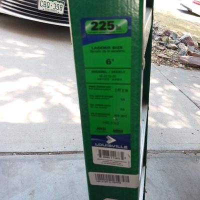 LOUISVILLE 6 FOOT FIBERGLASS LADDER PLUS EXTENSION CORD
