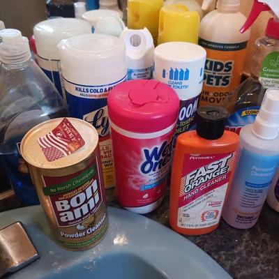 HOUSEHOLD CLEANERS