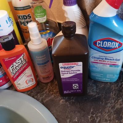 HOUSEHOLD CLEANERS