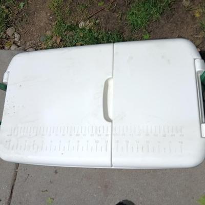 Green Igloo cooler with black umbrella