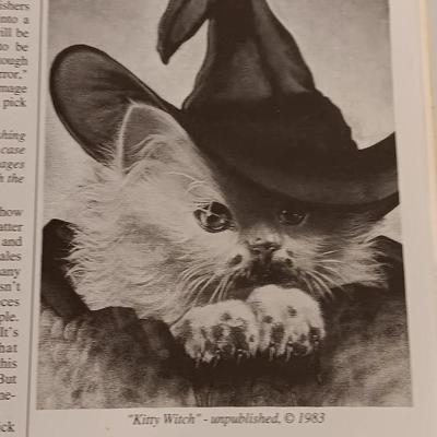Silver Web magazine with featured artist Jill Bauman including six unique prints