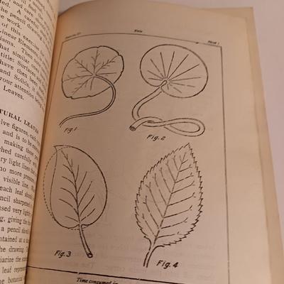1922 Antique International Correspondence Schools - Water color - Ornamental Drawing