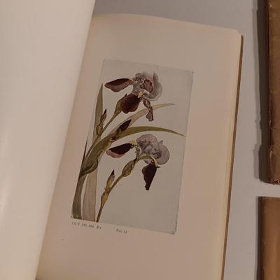 1922 Antique International Correspondence Schools - Water color - Ornamental Drawing