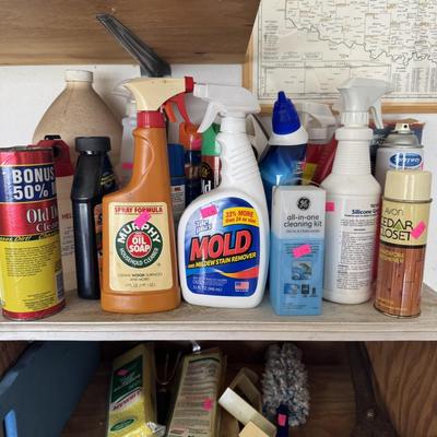 Carpet cleaner & household chemicals