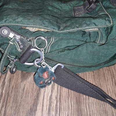Padded bags for laptops and camera