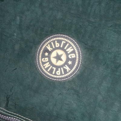 Padded bags for laptops and camera