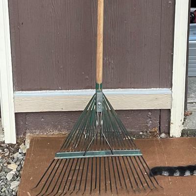 Rake*