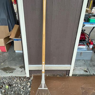 Rake*