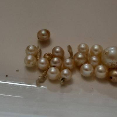Smaller freshwater pearl collection
