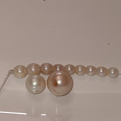two larger freshwater pearls some smaller on a string