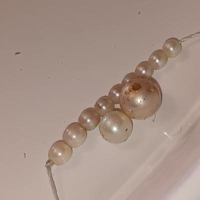 two larger freshwater pearls some smaller on a string