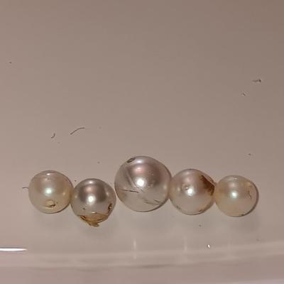 Last of the pearls - bigger sized pearls