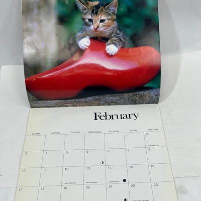 Vintage Cats & Kittens 1991 Calendar