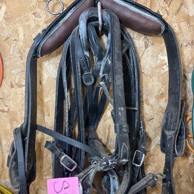 S18-Horse Tack Bundle