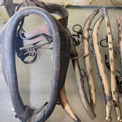 S23-Gear for Horses (Large Lot!!)