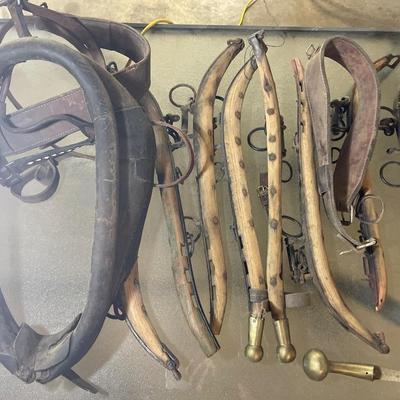 S23-Gear for Horses (Large Lot!!)