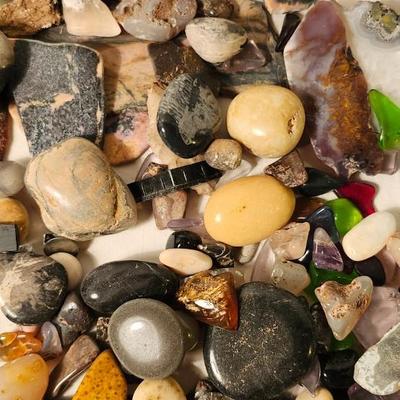 Lakes Rocks/ Petoskey stones/ Pudding Stone/ minerals Rock/ Piranha Agate Slab lot