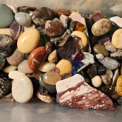 Lakes Rocks/ Petoskey stones/ Pudding Stone/ minerals Rock/ Piranha Agate Slab lot