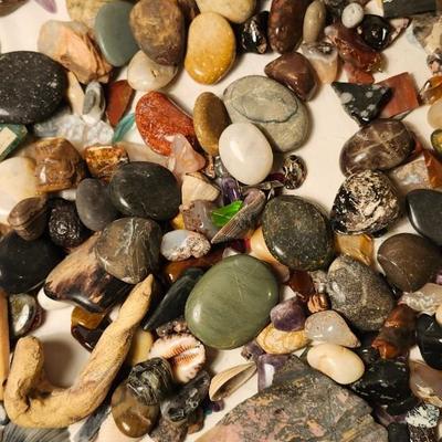 Lakes Rocks/ Petoskey stones/ Pudding Stone/ minerals Rock/ Piranha Agate Slab lot