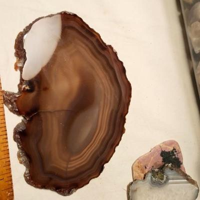 Lakes Rocks/ Petoskey stones/ Pudding Stone/ minerals Rock/ Piranha Agate Slab lot