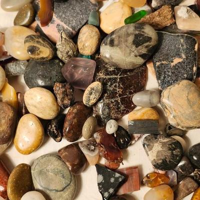 Lakes Rocks/ Petoskey stones/ Pudding Stone/ minerals Rock/ Piranha Agate Slab lot