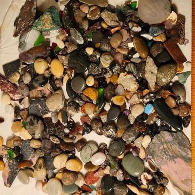 Lakes Rocks/ Petoskey stones/ Pudding Stone/ minerals Rock/ Piranha Agate Slab lot