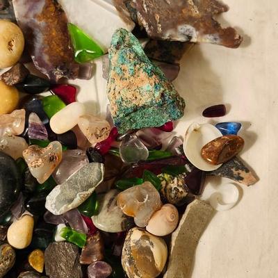 Lakes Rocks/ Petoskey stones/ Pudding Stone/ minerals Rock/ Piranha Agate Slab lot