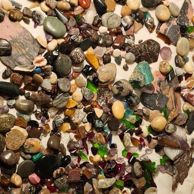 Lakes Rocks/ Petoskey stones/ Pudding Stone/ minerals Rock/ Piranha Agate Slab lot