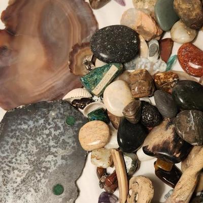 Lakes Rocks/ Petoskey stones/ Pudding Stone/ minerals Rock/ Piranha Agate Slab lot