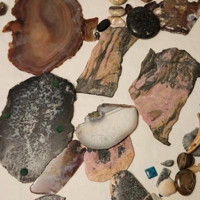 Lakes Rocks/ Petoskey stones/ Pudding Stone/ minerals Rock/ Piranha Agate Slab lot