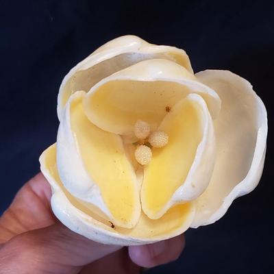 Handmade Shell Flowers (LR-KD)