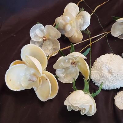 Handmade Shell Flowers (LR-KD)