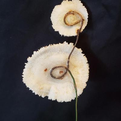 Handmade Shell Flowers (LR-KD)